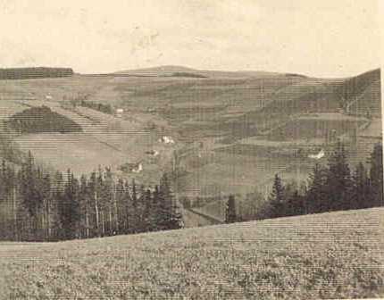 Kaltwasser